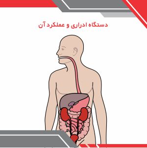 عملکرد دستگاه ادراری