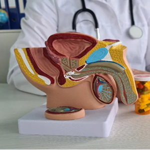 گامبهگام با جزئیات جراحی پروتز آلت تناسلی